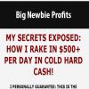 Big Newbie Profits