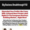 Big Business Breakthrough PLR