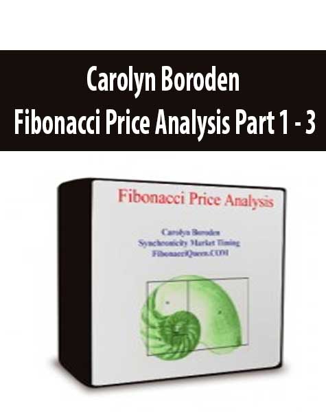 Carolyn Boroden - Fibonacci Price Analysis Part 1 - 3