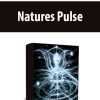 Natures Pulse