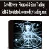 David Rivera - Fibonacci & Gann Trading Soft & Book (stock-commodity-trading.com)