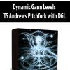 Dynamic Gann Levels TS Andrews Pitchfork with DGL