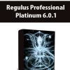 Regulus Professional Platinum 6.0.1