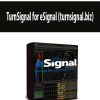 TurnSignal for eSignal (turnsignal.biz)