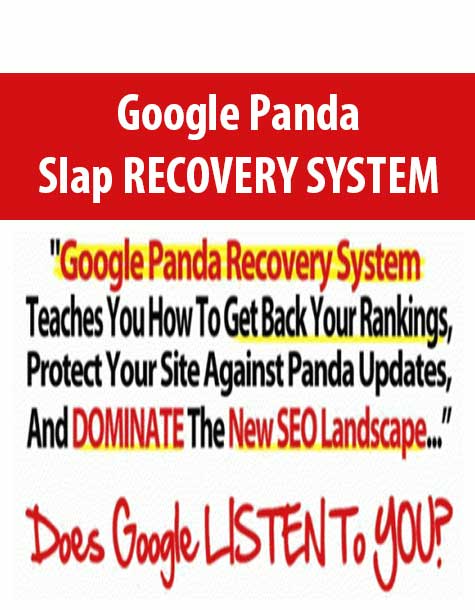 Google Panda Slap RECOVERY SYSTEM