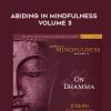 Joseph Goldstein – ABIDING IN MINDFULNESS VOLUME 3