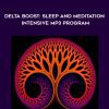 Sleep and Meditation Intensive Mp3 Program - Music Me Free - Delta Boost