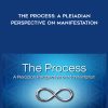 [Download Now] Wendy Kennedy - The Process: A Pleiadian Perspective on Manifestation