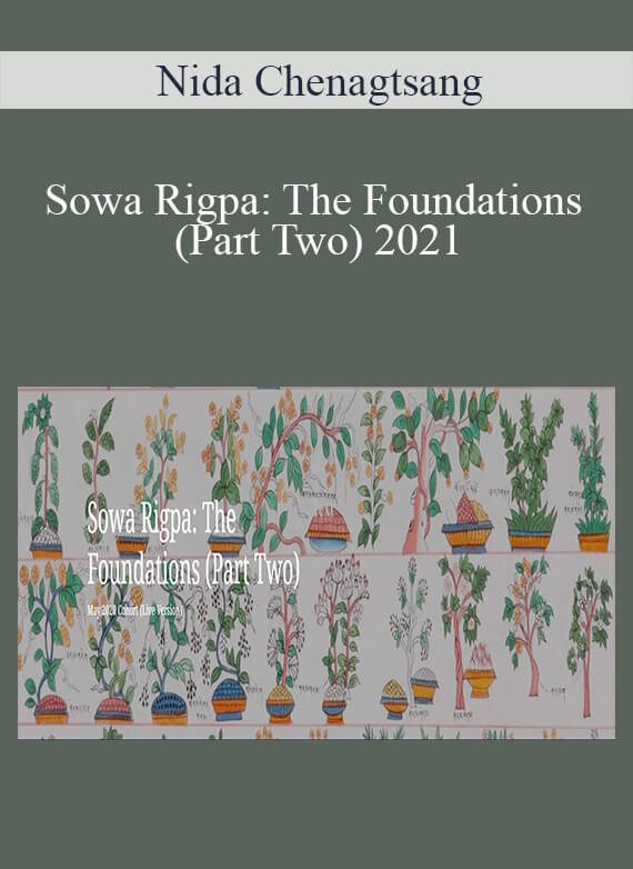 Nida Chenagtsang - Sowa Rigpa The Foundations (Part Two) 2021