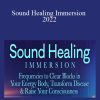 David Gibson - Sound Healing Immersion 2022