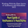 Puma Fredy & Quispe Singona - Working With the Plant Spirits of Ayahuasca and Huachuma 2022