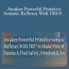 Steve Haines - Awaken Powerful Primitive Somatic Reflexes With TRE® to Shake Free of Trauma & Find Safety, Freedom & Joy 2022