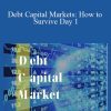 Eric Cheung - Debt Capital Markets How to Survive Day 1