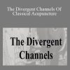 ACCM - The Divergent Channels Of Classical Acupuncture