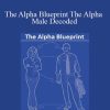 Chris Nosal - The Alpha Blueprint The Alpha Male Decoded