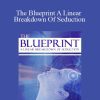 Derek Vitalio - The Blueprint A Linear Breakdown Of Seduction