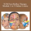 Lone Sorensen - TCM Foot Reflex Therapy Module 1 to 5 Online Course