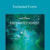 Hemi-Sync - Enchanted Forest