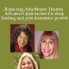 Janina Fisher, Lisa Ferentz and Diane Poole Heller - Repairing Attachment Trauma Advanced approaches for deep healing and post-traumatic growth