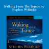 Stephen Wolinsky - Walking From The Trance by Stephen Wolinsky