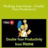 Mani Vaya - Working from Home - Double Your Productivity