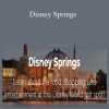 LJ Johnson - Disney Springs