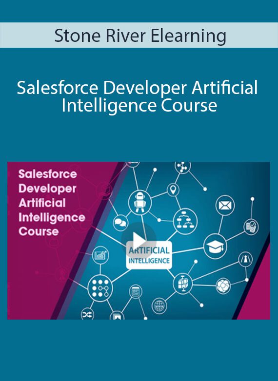 Stone River Elearning - Salesforce Developer Artificial Intelligence Course