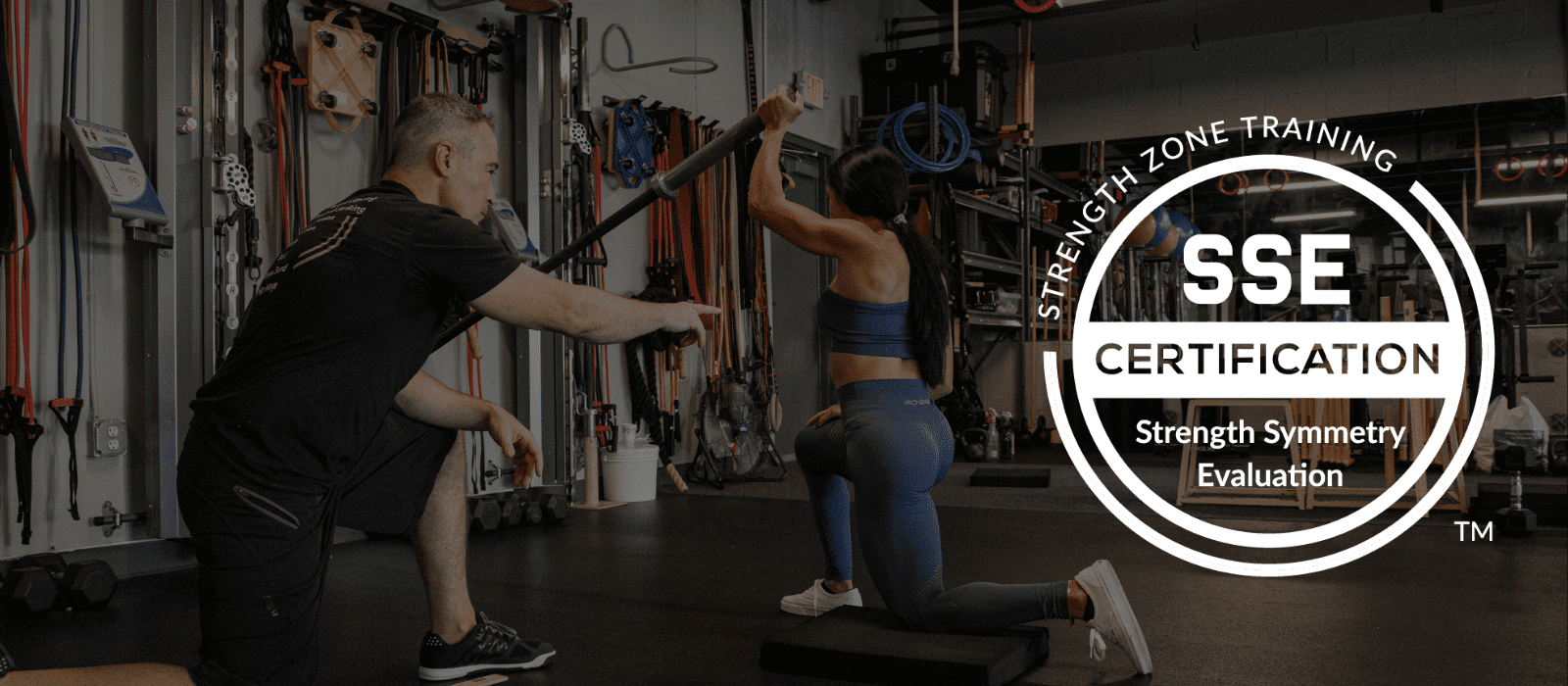 Strength Symmetry Evaluation Online Certification